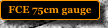 FCE 75cm gauge 